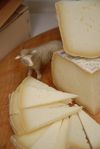 Cheese-tastic Event on Sunday December 5th in Oakland