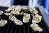 OysterFest Returns to Waterbar on August 30th