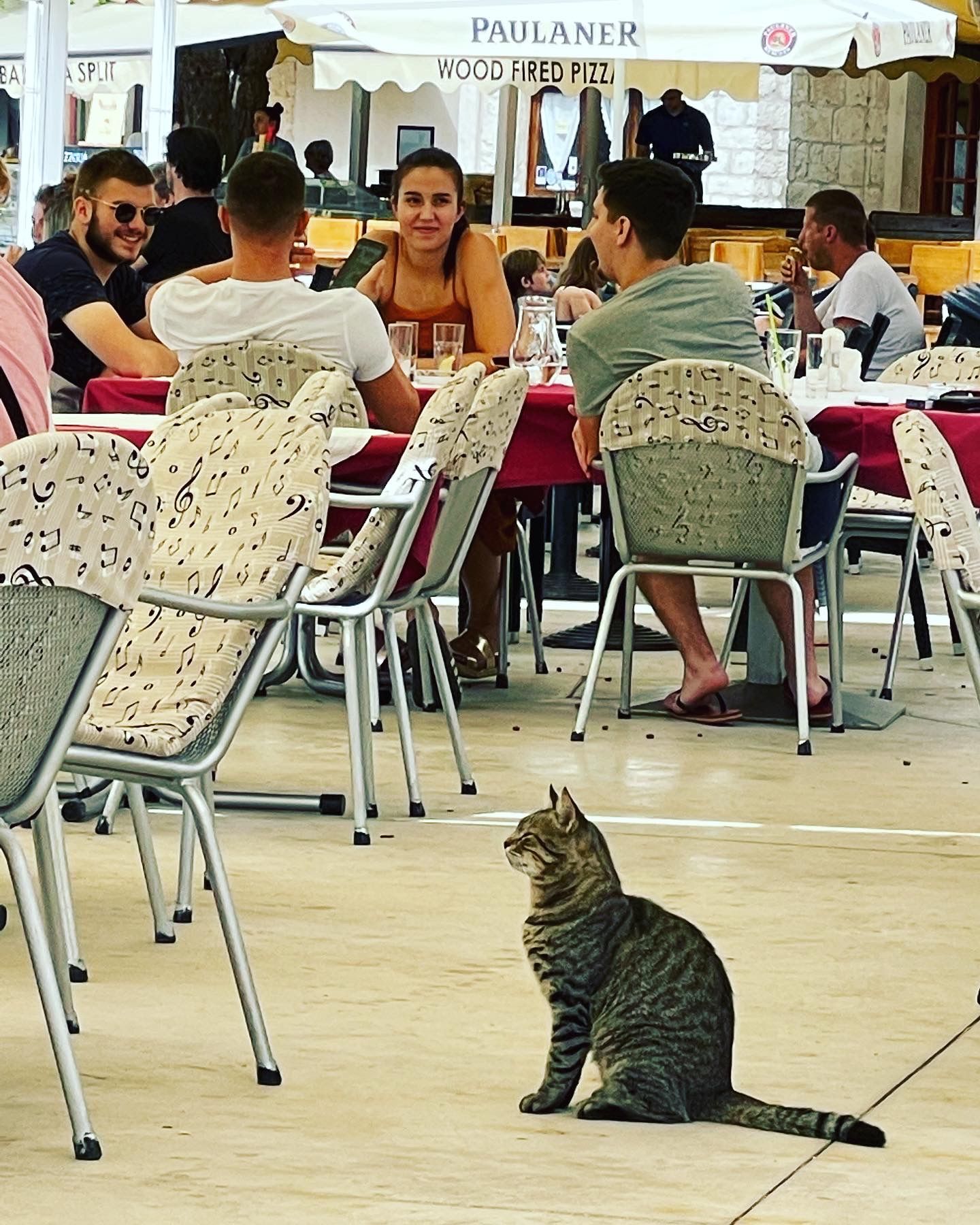 2i-kitty-restaurant-komiza.jpg