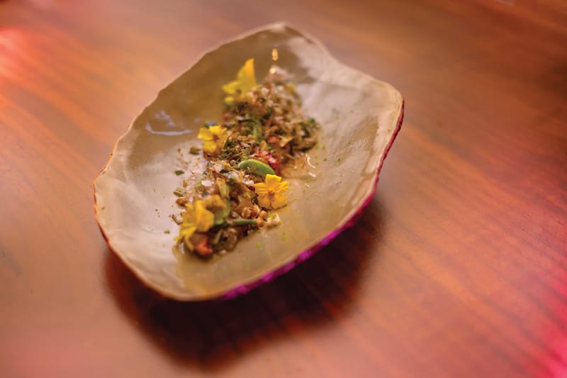 Lobster crudo in a dish that looks like a shell