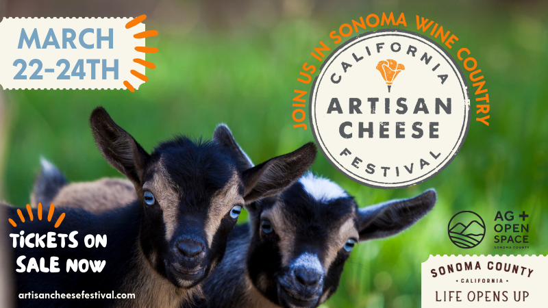 Taste, Learn, and Celebrate Cheese at the California Artisan Cheese Festival