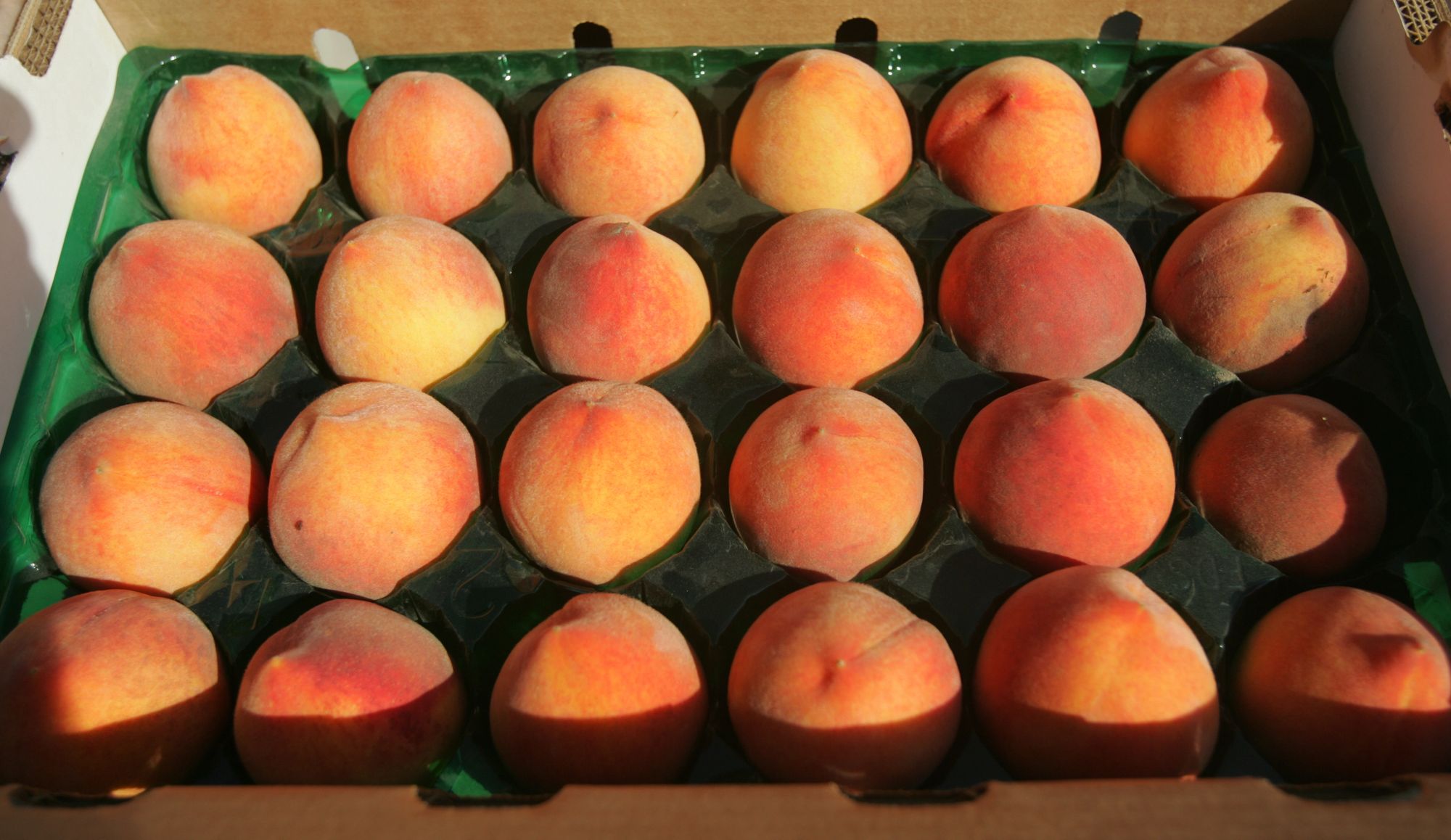 masumoto-peaches.jpg