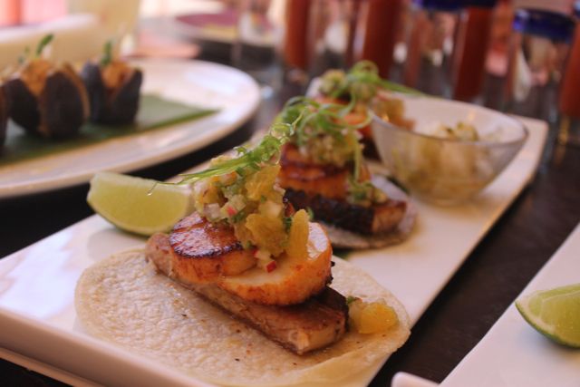 05_Rosa_taco_belly-and-scallop.jpg