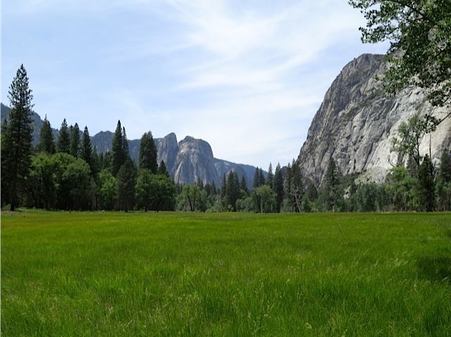 5c-yosemite-meadow.jpg