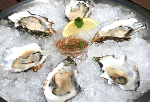 Oysters4.png