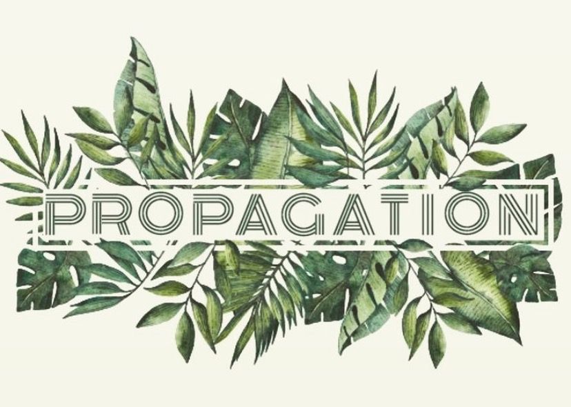 propagation-logo.jpeg