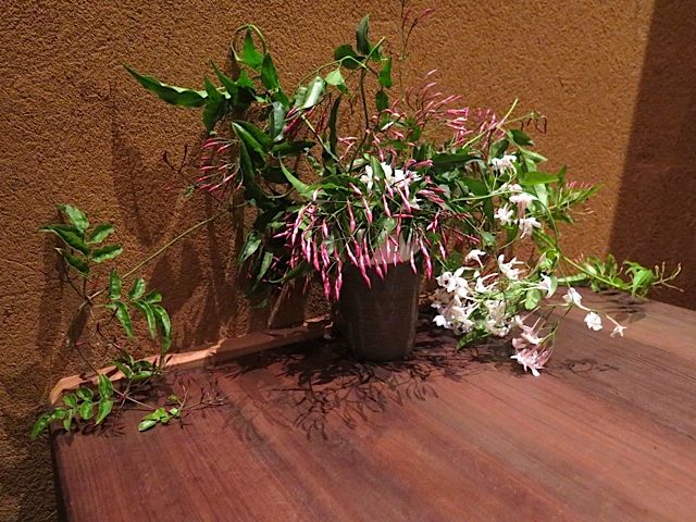 rintaro-flowers.jpg