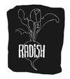 The Dirt on Radish, Coming to the Mission