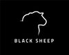 Black Sheep Is (Softly) Opening on Polk Street