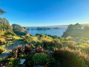 This week’s tablehopper: coastal beauty.