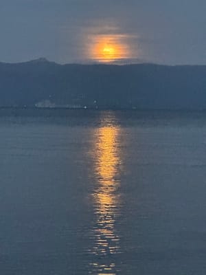 This week’s tablehopper: back to life, back to reality.