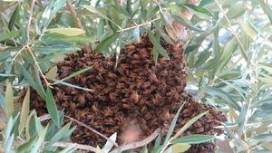 Celebrating Mother Nature This Weekend