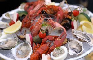 Ubuntu Still Seeks Sale, The Thomas Opens, Spinster Sisters, and Hard Cider at the Apple Fair