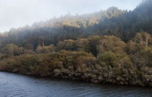 Drink to the Coast, Williams-Sonoma Arrival with TyFlo, Shone Farm Festival