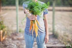 Upcycled Tomatoes, Bistro Ralph, Michelin Stars, Bottega Event