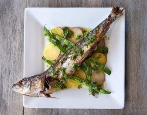 Hazel Opens, Ninebark Coming, Pascaline Patisserie