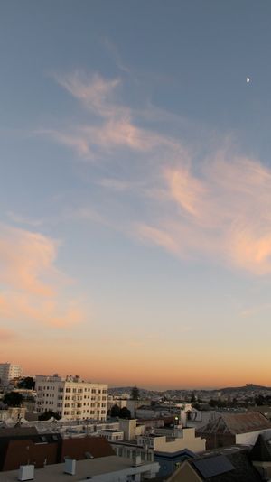 This week's tablehopper: hey fruitcake.