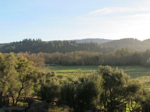 This week's tablehopper: springing forward.