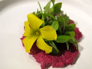 This week's tablehopper: dishy.