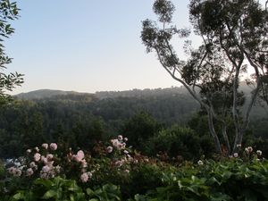 This week's tablehopper: taking care.