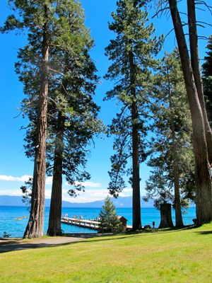 August 16, 2011 - This week's tablehopper: true blue.