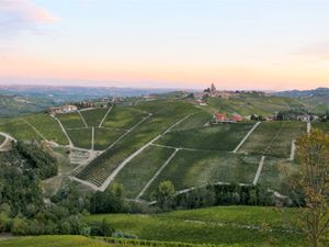 This week's tablehopper: the Barolohopper.