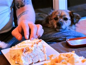 This week's tablehopper: warming to the idea.