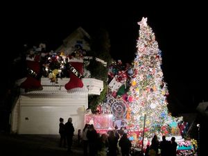 December  6, 2011 - This week's tablehopper: pa rum pa pum pum!