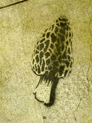 February 21, 2012 - This week's tablehopper: shake, rattle, and let the good times roll.