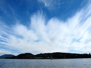 August 30, 2013 - This week's tablehopper: a patch of blue.