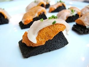 August 14, 2013 - This week's newsletter: a wonderful, magical animal.