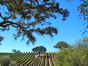 September  3, 2013 - This week's tablehopper: lake it or leave it.