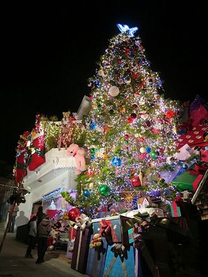 December 20, 2013 - This week's tablehopper: sleigh bells ring, are you listening?