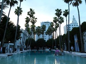 This week's tablehopper: moon over my hammy.