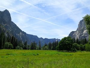 May 20, 2014 - This week's tablehopper: mountain majesty.