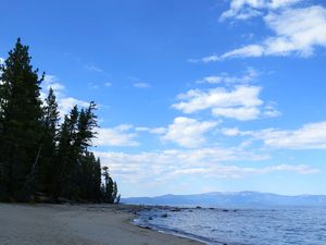 This week's tablehopper: blue steel.