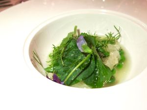 This week's tablehopper: leaving on a jet plane.