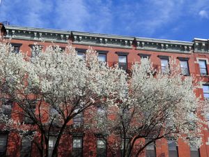 April  5, 2016 - This week's tablehopper: spring affair.