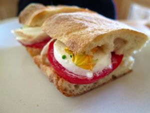 August 23, 2016 - This week's tablehopper: Tahoe tawk.