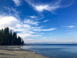 This week's tablehopper: homeward bound.