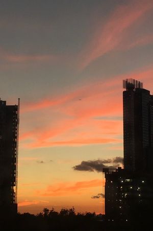 October 18, 2016 - This week's tablehopper: red (and orange and yellow) October.