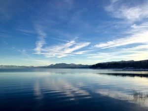 January 31, 2017 - This week's tablehopper: when they go low, I go high altitude.