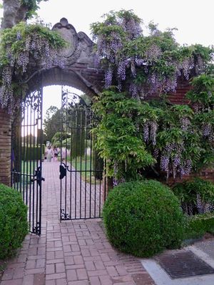 May  9, 2017 - This week's tablehopper: there will be baked Alaska.