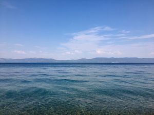 August  8, 2017 - This week's tablehopper: chipmunk TV.