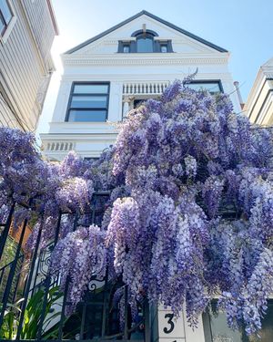 April 27, 2021 - This week's tablehopper: paint it lilac.