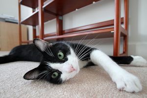 In 2012, It's Time for These Things to Be Shelved