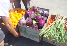 A Reminder About the Amazing Food Runners This Season (and a Marin Option Too!)