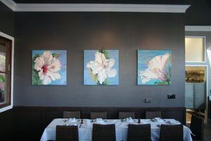 Hibiscus: A New Flower in Oakland