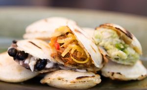 Pica Pica Opening in the Mission Mission