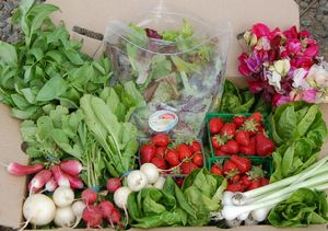 Another "Rogue" Farmers' Market